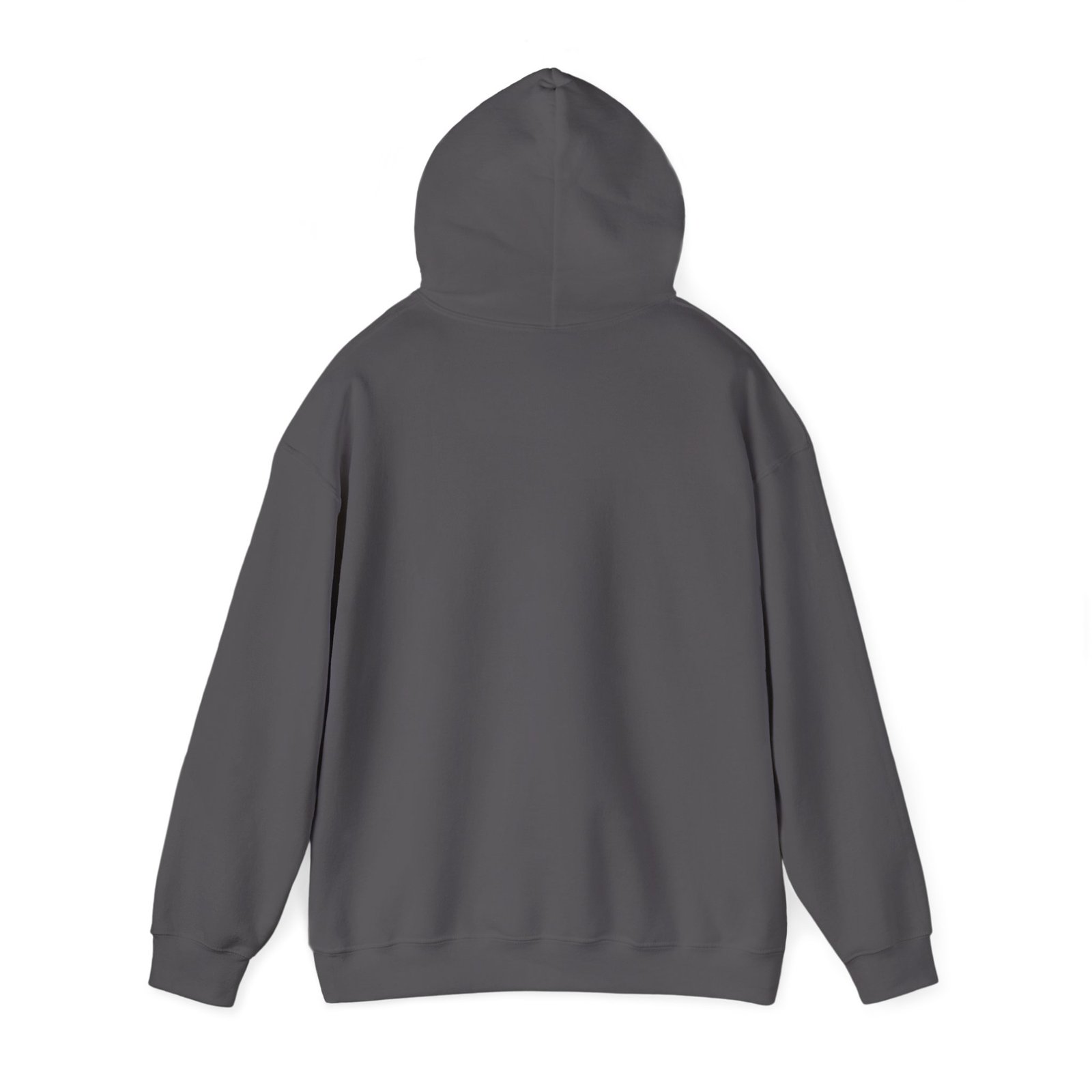 DAI Fundraiser Logo Hoodie Pullover swagandstuff.com All Swag DAI Fundraiser Logo Hoodie Pullover - Image 19